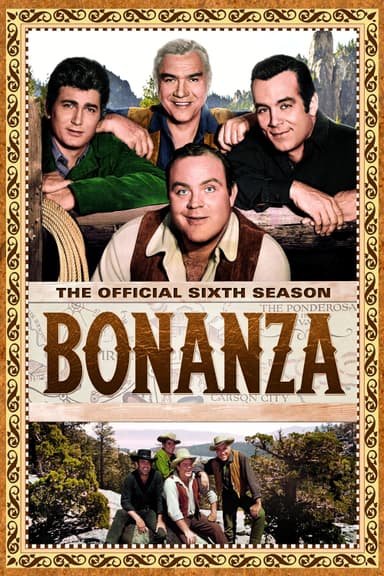 Staffel 6