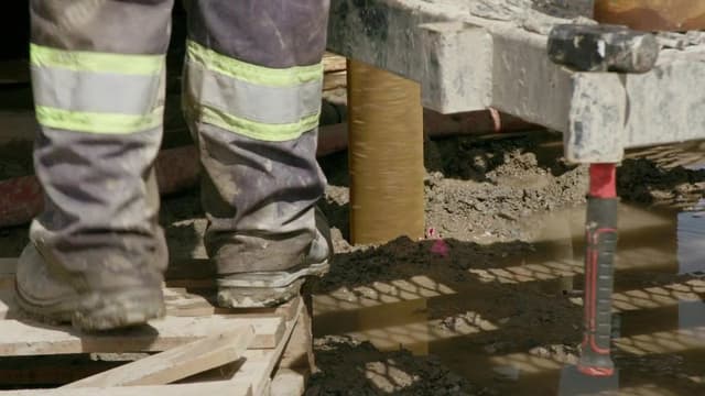 Spuren im Sumpf