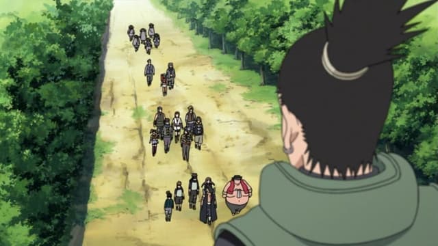 Die Chunin-Prüfungen beginnen!