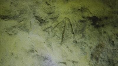 Die Kultur der Templer